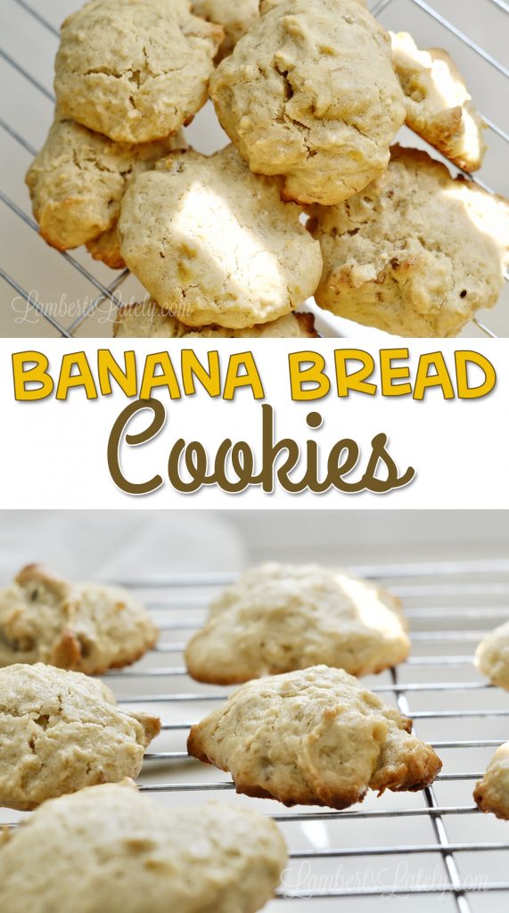 This recipe for banana bread cookies is super easy - uses basic ingredients to make a moist, chewy dessert.